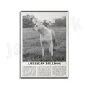 GobekUsa Black & White Dog Breeds Poster: Greyhound, Cocker Spaniel, Akita, Malamute, Cattle Dog