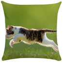 GobekUsa Bubble Black Cats Cat Pillow Cases Sofa Home Decor Custom Cushion Cover