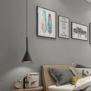 Nordic Black Metal Pendant Light With E27 Socket