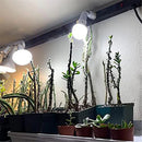 GobekUsa Dimmable LED Ceiling Track Lighting Fixture for Highlighting Art & Exhibitions