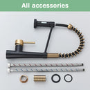 GobekUsa Black Gold Kitchen Faucet with Pull Down Sprayer