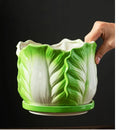 GobekUsa Cabbage Flowerpot with Tray | Creative Cartoon Vegetable Basin | Indoor Garden Flower Vase