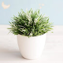 GobekUsa Artificial Bonsai Tree Potted Plant for Home, Hotel & Garden Decor