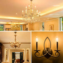 GobekUsa Gold Tint Tubular LED Bulb E12 E14 Candelabra Dimmable 4W T25 T6