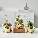 GobekUsa Golden Rabbit Ceramic Flower Pot | Cartoon Succulent Planting Vase