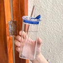 GobekUsa Heat Resistant Glass Cup with Lid and Straw for Coffee, Milk, Tea, Juice