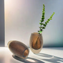 GobekUsa Frosted Glass Vase Home Decoration Floral Arrangement Hydroponics Terrarium Jar
