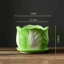 GobekUsa Cabbage Flowerpot with Tray | Creative Cartoon Vegetable Basin | Indoor Garden Flower Vase