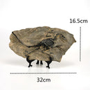 GobekUsa Dino Fossil Resin Craft: Retro Animal Statue, Indoor Living Room Decor & Gift