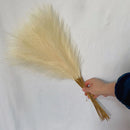 GobekUsa Fluffy Pampas Grass Boho Decor Pampas Grass.
