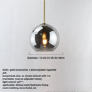 Smoky Gray Glass Globe Pendant Light With Iron Finish
