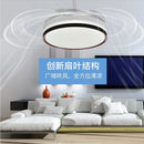 GobekUsa 48 Inch Dimmable Decorative Ceiling Fan with Remote Control and LED Light