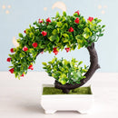 GobekUsa Artificial Bonsai Tree Potted Plant for Home, Hotel & Garden Decor