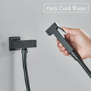 GobekUsa Brass Bidet Faucet Single Cold Water Black Toilet Sprayer Valve Jet Set