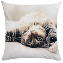 GobekUsa Bubble Black Cats Cat Pillow Cases Sofa Home Decor Custom Cushion Cover