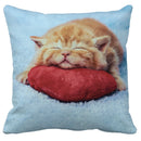 GobekUsa Bubble Black Cats Cat Pillow Cases Sofa Home Decor Custom Cushion Cover