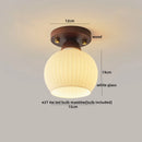 GobekUsa LED Modern Ceiling Light for Living Room Balcony, Nordic Style Indoor Lighting Fixtures
