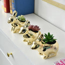 GobekUsa Golden Rabbit Ceramic Flower Pot | Cartoon Succulent Planting Vase