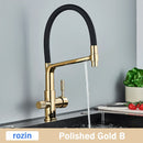 GobekUsa Brushed Gold Swivel Kitchen Faucet with Purification Function