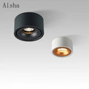 GobekUsa LED Aluminum Spotlight Ceiling Lamp for Living Room Dining Room Lighting