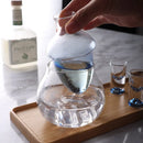 GobekUsa Glass Wine Decanter & Ice Jug Set for Home & Bar