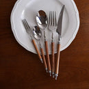 GobekUsa 5-Piece Stainless Steel Western Tableware Set, Solid Wood Handle, Natural Yellow