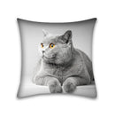 GobekUsa Cute Cat Anime Pillow Case – 45x45cm Cartoon Cushion Cover for Home and Office