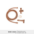 GobekUsa Brass Bidet Spray Kit with Portable Valve for Bathroom Anus Shower
