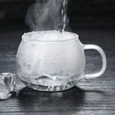 GobekUsa Glass Tea Cup with Infuser and Lid - 350ml Drinkware for Home and Office