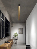 GobekUsa Linear LED Ceiling Light for Living Room Bedroom Aisle Balcony Dining Minimalist Lustre