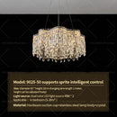 GobekUsa Crystal Chandelier Modern Luxury Light for Living Room, Dining, Bedroom - 2024 New