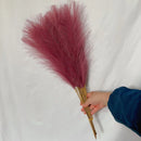 GobekUsa Fluffy Pampas Grass Boho Decor Pampas Grass.