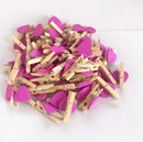 GobekUsa 50-Piece Mini Wooden Clips for Photos Crafts, 25mm Small Clothespin Decoration