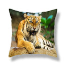 GobekUsa Brave Tiger Pattern Print Pillowcase, Super Peach Skin Cushion Cover