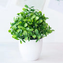 GobekUsa Artificial Mini Plant Bonsai Greening Potted Desktop Simulation Green Plant
