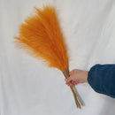 GobekUsa Fluffy Pampas Grass Boho Decor Pampas Grass.