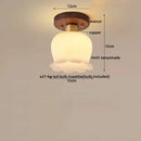 GobekUsa LED Modern Ceiling Light for Living Room Balcony, Nordic Style Indoor Lighting Fixtures