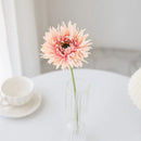 GobekUsa Brushed Gerbera Vase: Home Decor, Wedding, Christmas, Party Wreaths & Scrapbooking