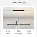 GobekUsa Black Gold Pendant Lamp | Modern Indoor Light for Dining Room & Kitchen