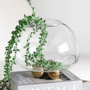 GobekUsa Geometric Golden Ball Glass Vase for Floral Arrangements and Home Decor