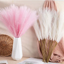 GobekUsa Fluffy Pampas Grass Boho Decor Pampas Grass.