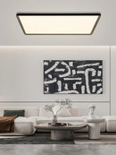 GobekUsa LED Ceiling Lights for Home Deco - Minimalist Modern Lighting Fixture