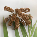 GobekUsa Green Plant & Berry Stamen Bundle for DIY Christmas & Wedding Decor