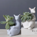 GobekUsa Kangaroo Cartoon Ceramic Flower Pot Vase for Cactus Succulents and Plants