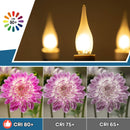 GobekUsa Frosted LED Candle Bulbs 1.5W Dimmable E12 E14 Base Warm White 2700K - Chandelier Decor Bulb