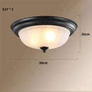 GobekUsa Black Bronze Ceiling Light with Frosted Glass Shade for Bedroom and Kitchen