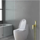 GobekUsa Brushed Gold Toilet Bidet Sprayer Set for Stylish Bathroom Upgrade