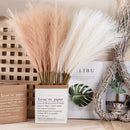 GobekUsa Fluffy Pampas Grass Boho Decor Pampas Grass.