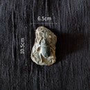 GobekUsa Fossil Series Art Refrigerator Stickers: Fish Bone Beetle Marine Insect Specimen