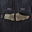 GobekUsa Fossil Series Art Refrigerator Stickers: Fish Bone Beetle Marine Insect Specimen